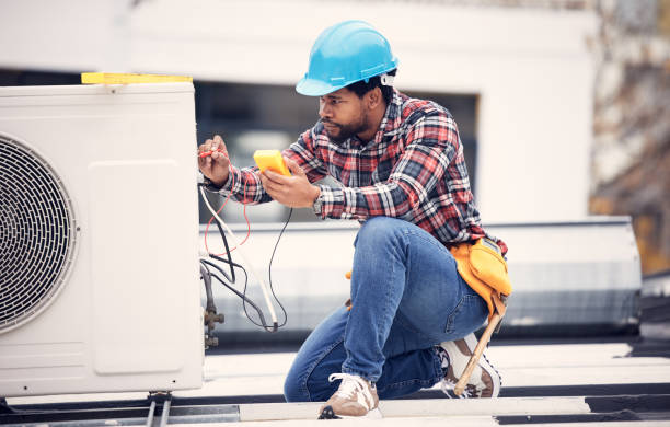 Best Electric Panel Repair  in Mathews, VA